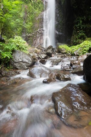 Waterfall/stream in a deep rain forest.の写真素材