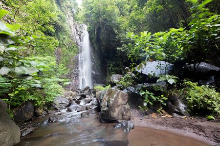 Waterfall/stream in a deep rain forest.の写真素材