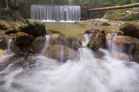 Waterfall/stream in a deep rain forest.の写真素材