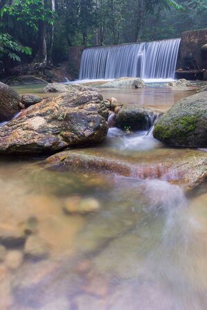 Waterfall/stream in a deep rain forest.の写真素材