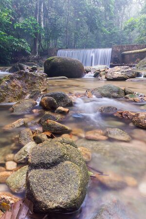 Waterfall/stream in a deep rain forest.の写真素材