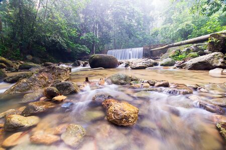 Waterfall/stream in a deep rain forest.