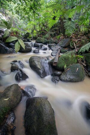 Waterfall/stream in a deep rain forest.の写真素材