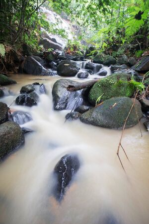 Waterfall/stream in a deep rain forest.の写真素材