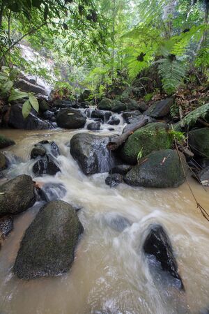 Waterfall/stream in a deep rain forest.の写真素材