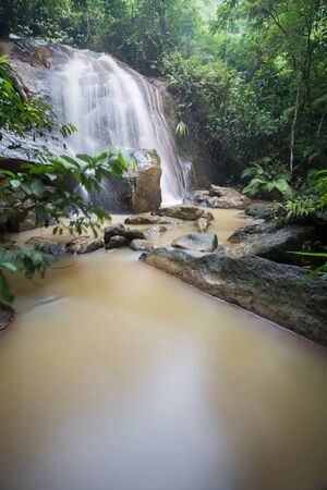 Waterfall/stream in a deep rain forest.の写真素材