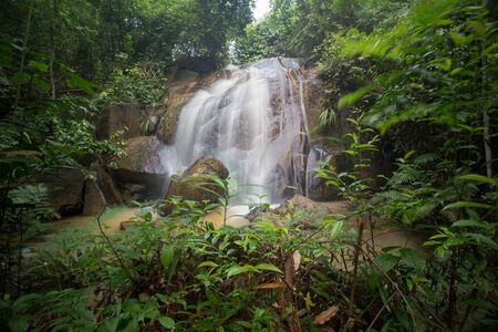 Waterfall/stream in a deep rain forest.の写真素材