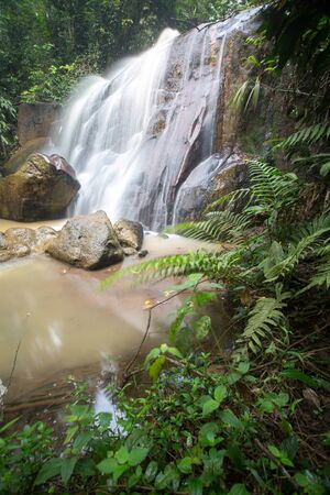 Waterfall/stream in a deep rain forest.の写真素材