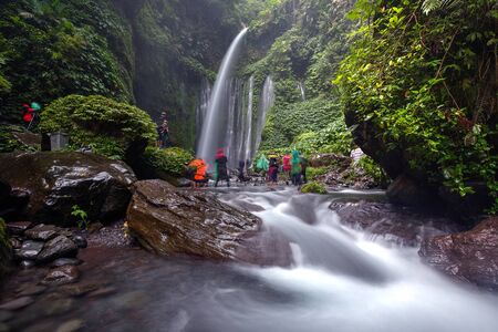 Waterfall/stream in a deep rain forest.の写真素材