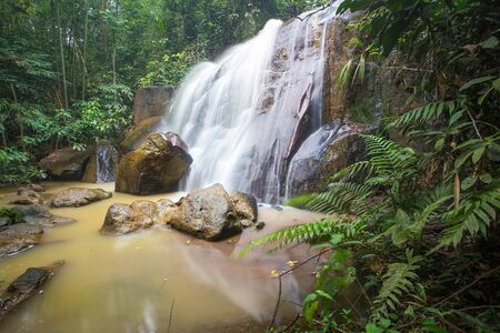 Waterfall/stream in a deep rain forest.の写真素材