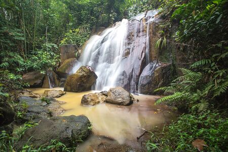 Waterfall/stream in a deep rain forest.の写真素材