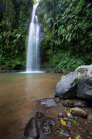 Waterfall/stream in a deep rain forest.の写真素材