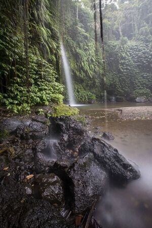 Waterfall/stream in a deep rain forest.の写真素材