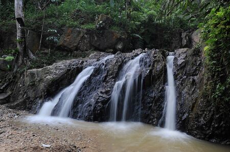 Waterfall/stream in a deep rain forest.の写真素材
