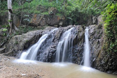Waterfall/stream in a deep rain forest.の写真素材