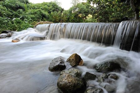 Waterfall/stream in a deep rain forest.の写真素材