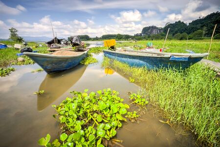 Amazing sunset at paddy field in a rural area of Malaysiaの写真素材