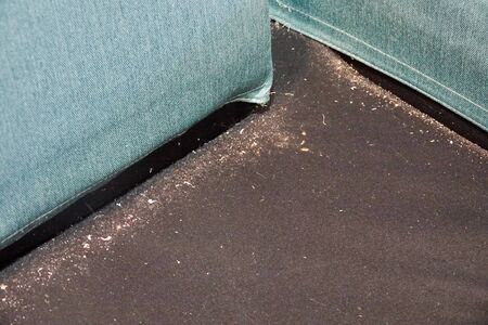 Dusts at sofa. Need to be cleaning.の写真素材