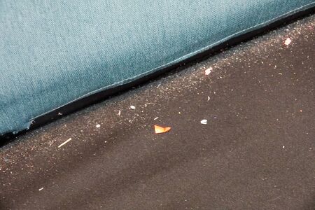 Dusts at sofa. Need to be cleaning.の写真素材