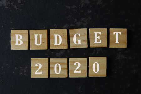 Budget 2020 on a wooden blocks. Business concept.の写真素材