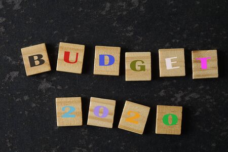 Budget 2020 on a wooden blocks. Business concept.の写真素材