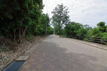Stone pathway in natural countryside.の写真素材