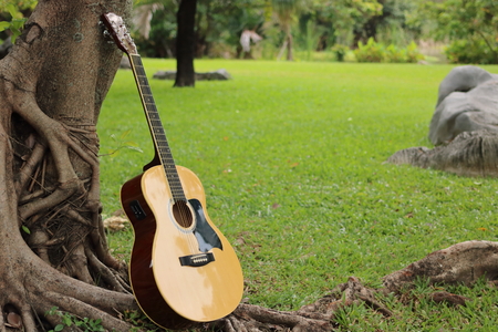 Acoustic guitar is leaning against a tree in the public park.の写真素材