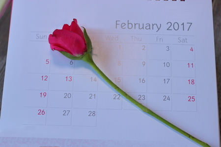 Close up calender with the date of 2017 February 14 Valentine's day and beautiful red roses on wooden board background, Selective focusの写真素材