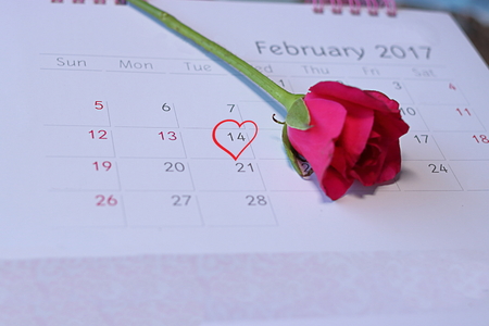 Selective focus and shallow depth of field of red heart mark Valentine's day February 14 on calender page with blurred one red rose backgroundの写真素材