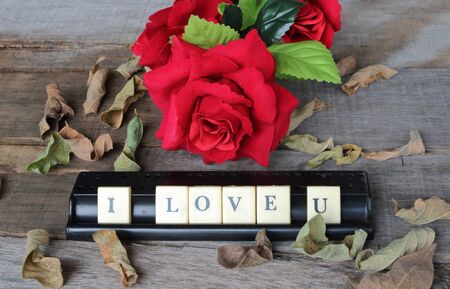 Crossword puzzled with blocks spelling i love u words on old wooden board with artificial red roses background. Love and romance Valentine's day concept.の写真素材