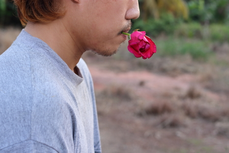 Rear view of young romantic man is holding a red rose in his mouth on nature blurred background. Love and romance Valentine's day concept.の写真素材