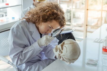 Young female scientists examining human skull in laboratory.の写真素材