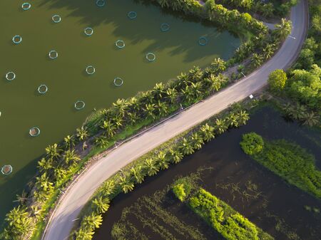 Aerial drone view of asphalt road with rural farmland landscape. Beautiful aerial landscape.の写真素材