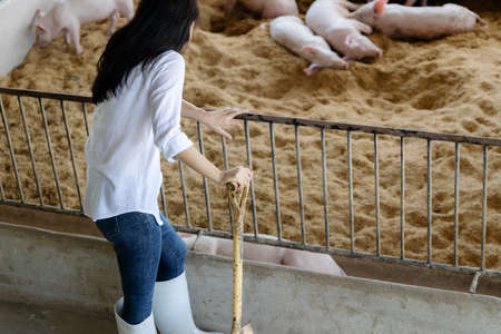 Young farmer with shovel working in in organic farm pig. Agriculture and livestock industryの写真素材