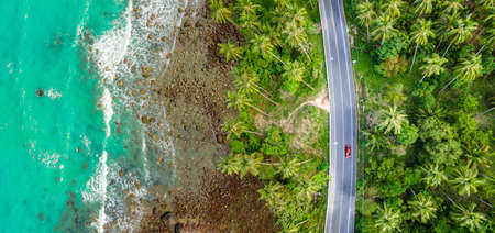 Aerial view of road between beautiful sea coastline green and summer coconut tree forest in...