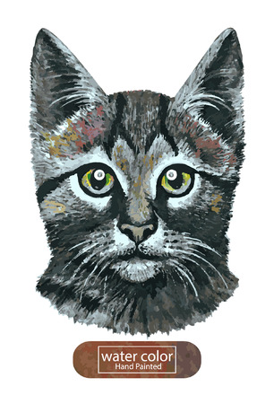 Cat hand painted watercolor illustration isolated on white backgroundのイラスト素材