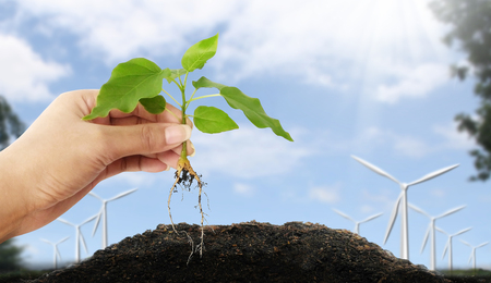 Hand holding green plant with environmental conceptの写真素材