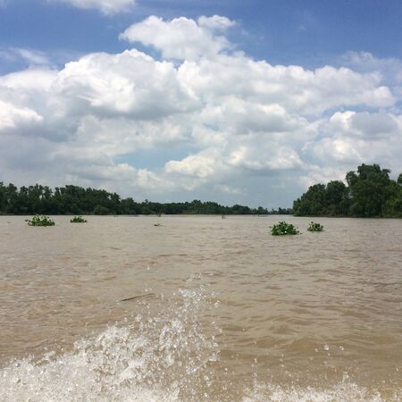 Landscape of Bangpakong river, brown water green trees and blue sky with white clouds, at Bangkhla, Chachoengsao, Thailandの写真素材