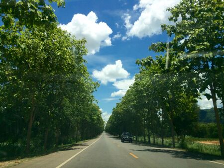 view roadの写真素材