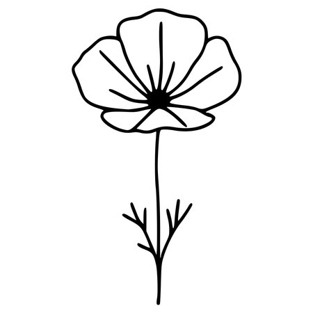 beautiful poppy flower cartoon vector illustration graphic design vector illustration graphic designのイラスト素材
