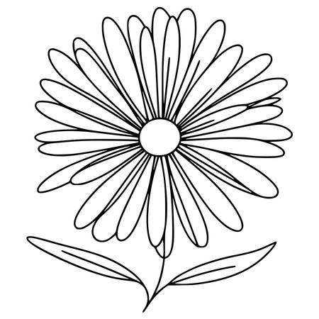 Daisy flower icon. Outline illustration of daisy flower vector icon for webのイラスト素材