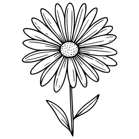 Chamomile flower design, floral nature plant ornament garden decoration and botany theme Vector illustrationのイラスト素材