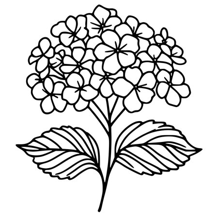 Hydrangea flower icon. Outline illustration of hydrangea flower vector icon for webのイラスト素材