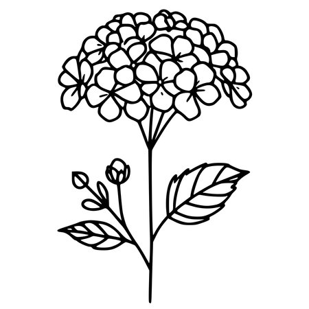 Hydrangea flower icon vector illustration graphic design vector illustration graphic designのイラスト素材
