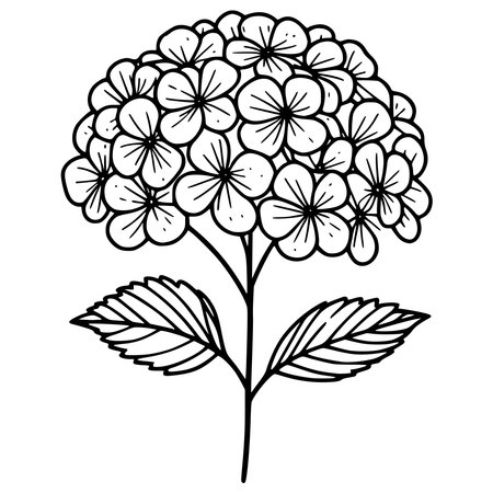 Hydrangea flower icon. Outline illustration of hydrangea flower vector icon for webのイラスト素材