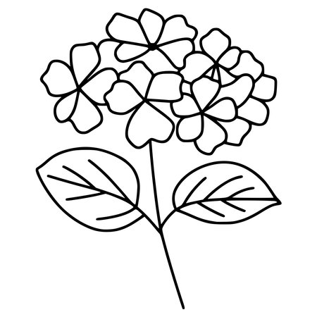 cute flower carden isolated icon vector illustration design vector illustration designのイラスト素材