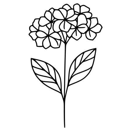 beautiful flowers and leafs decorative icon vector illustration design vector illustration designのイラスト素材