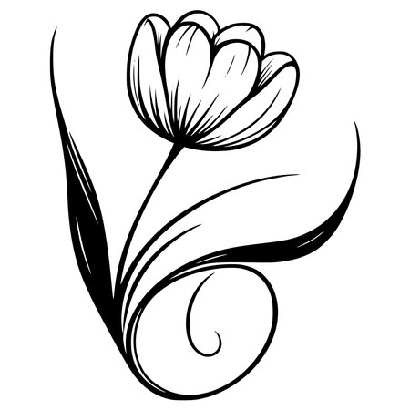 Beautiful hand drawn tulip flower. Black and white vector illustration.のイラスト素材