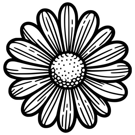 Black and White Tattoo Illustration of a Chamomile Flowerのイラスト素材