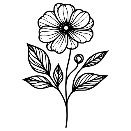 floral tropical botanical flower with leafs and seeds vector illustration designのイラスト素材